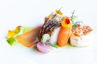 Odoo • Teksti ja kuva